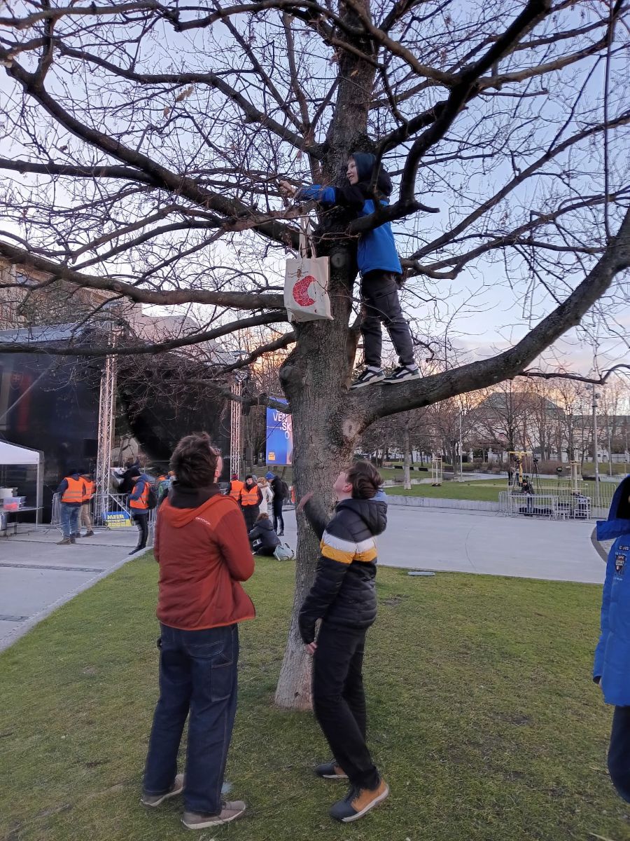 Chalani lezú na strom